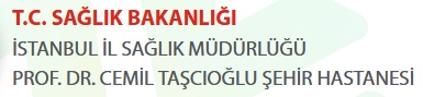 Okmeydani Profesyonel Cemil Taşçioğlu Şehir Hastanesi