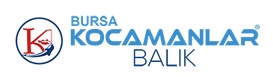 Kocamanlar Bursa