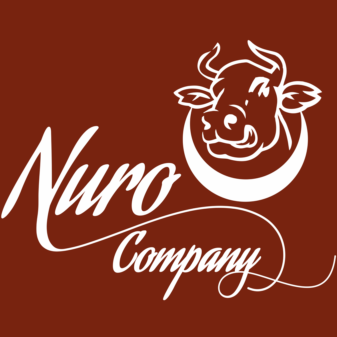 Nuro Kompani Doo Makedonya