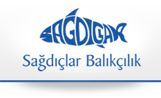 Sağdıçlar Balık Çekmeköy